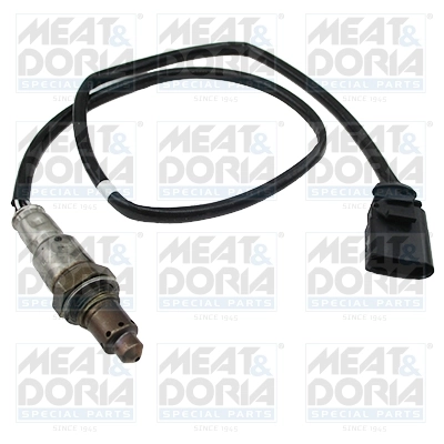 Oxygen Sensor